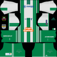 /album/fotogalerie-uber-uns/rapid-fantasy-kit-liga-png/